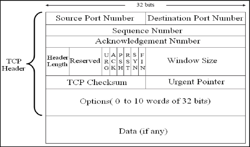 再多来点 TCP 吧：Delay ACK 和 Nagle 算法的配图